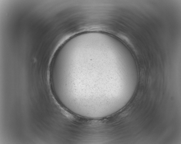 X0000062871424200601271544