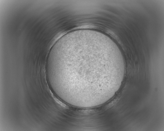 X0000062871425200601271544