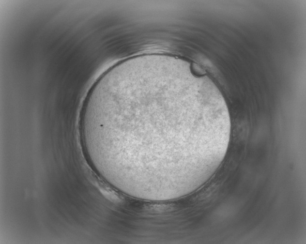 X0000062871427200601271544