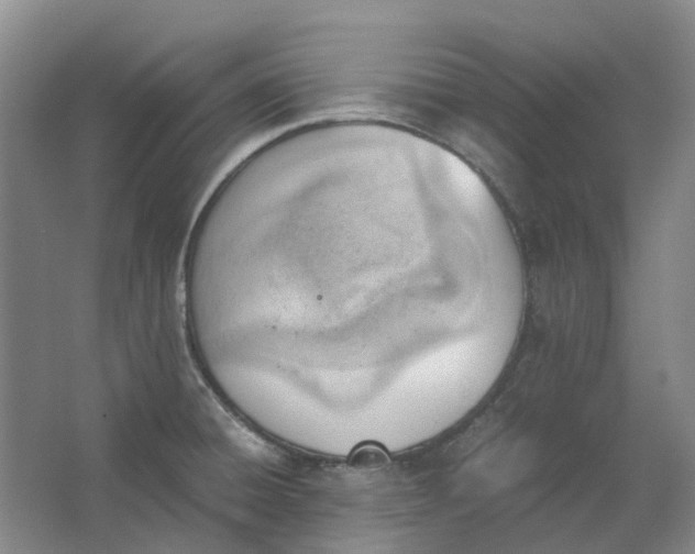 X0000062871428200601271544