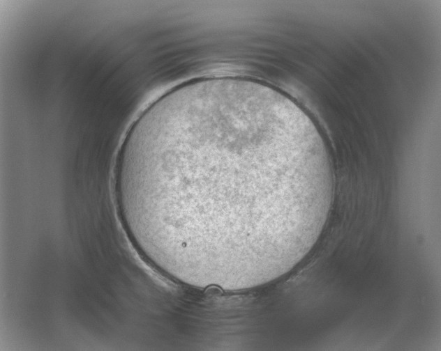 X0000062871429200601271544