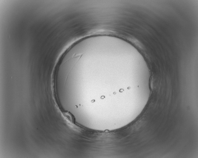 X0000062871430200601271544