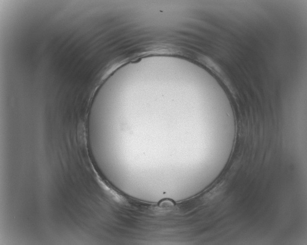 X0000062871433200601271544