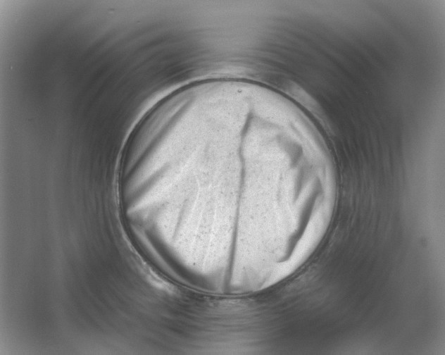 X0000062871436200601271544