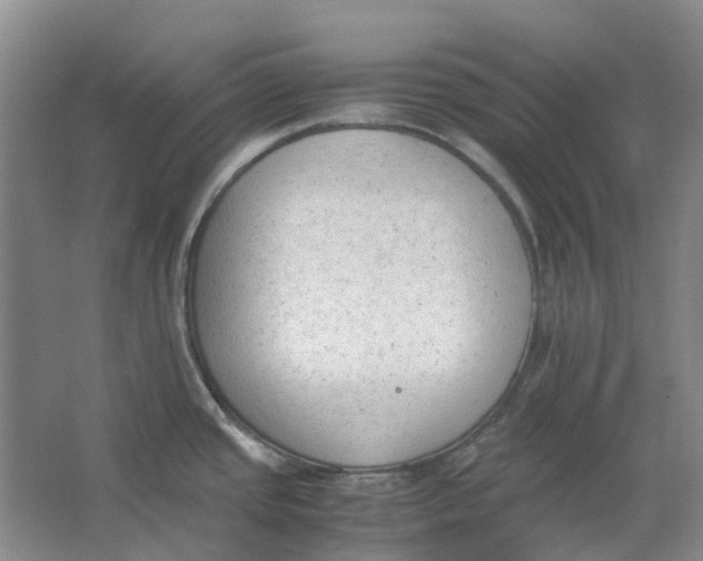 X0000062871437200601271544