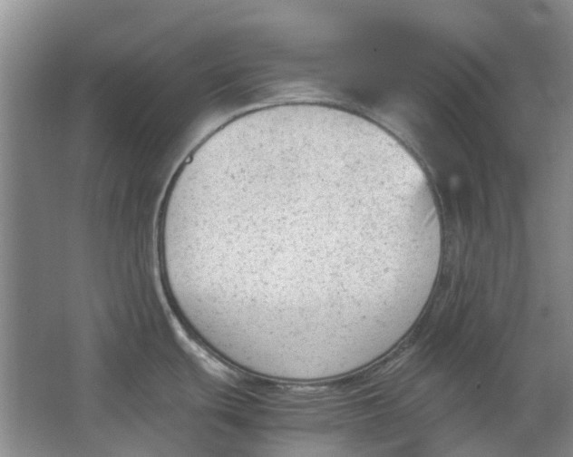 X0000062871439200601271544