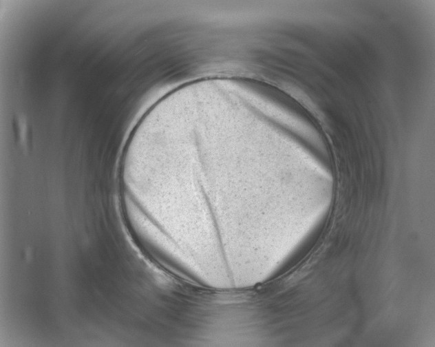 X0000062871440200601271544