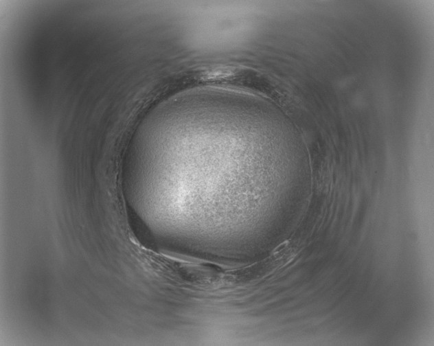 X0000062871441200601271544