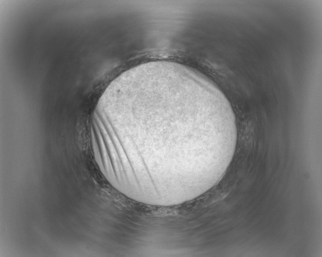 X0000062871446200601271543