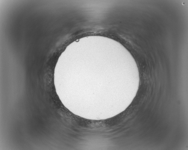 X0000062871447200601271543