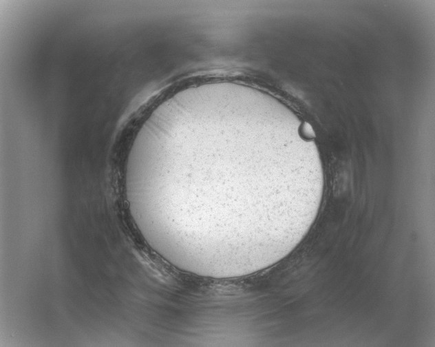 X0000062871448200601271543