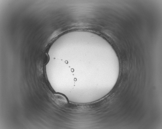 X0000062871451200601271543