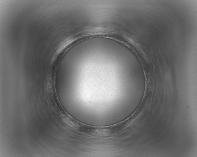 X0000062871453200601271543