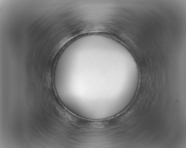 X0000062871457200601271543