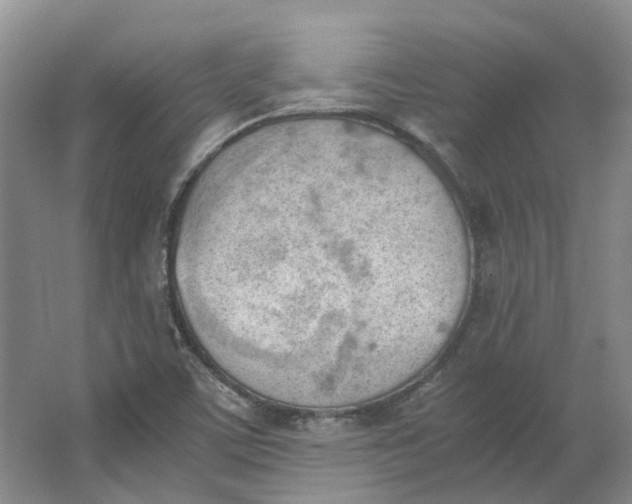 X0000062871459200601271543