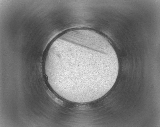 X0000062871460200601271543