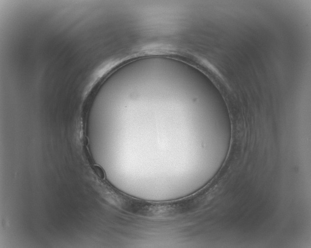 X0000062871461200601271543