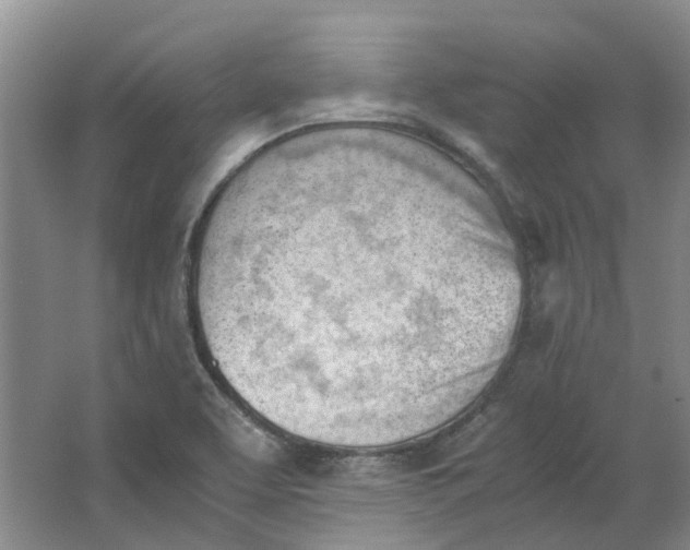 X0000062871463200601271543