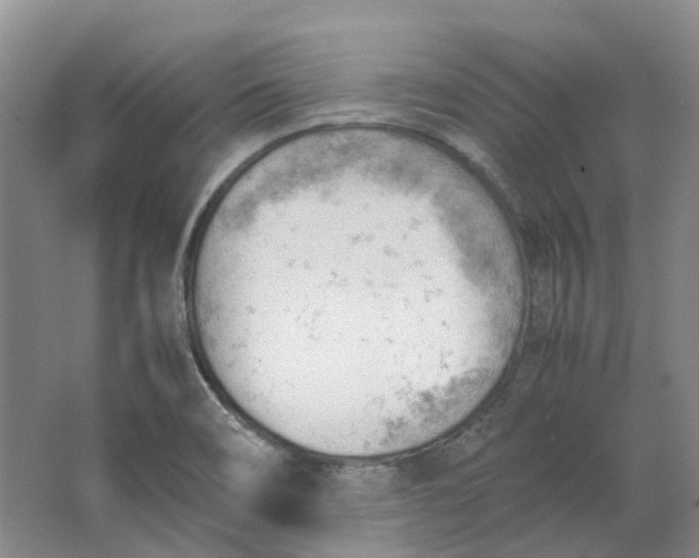 X0000062871466200601271543