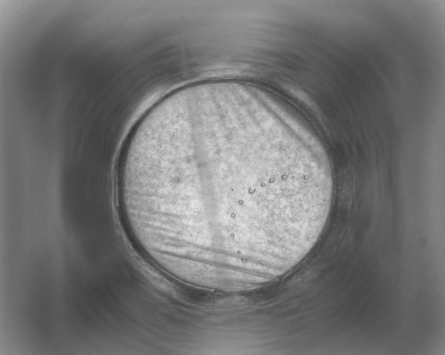 X0000062871467200601271543