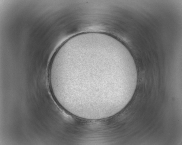 X0000062871470200601271543