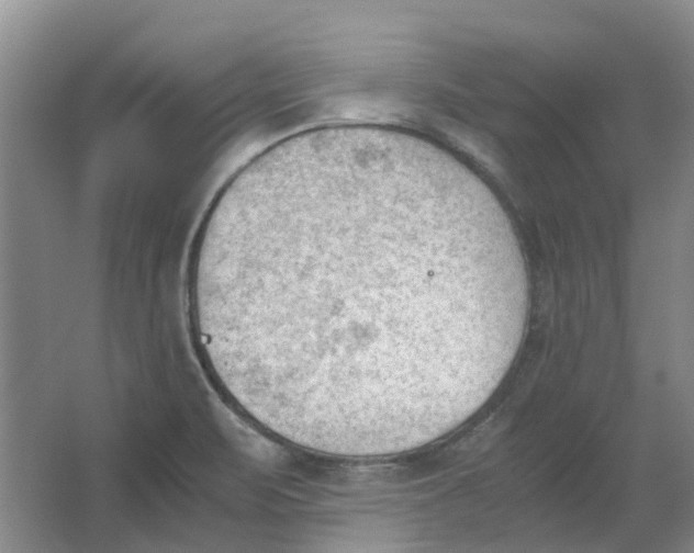 X0000062871471200601271543