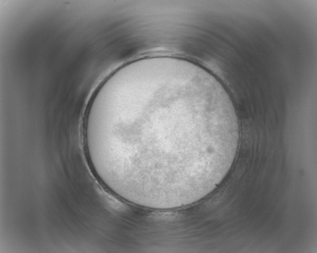 X0000062871474200601271543