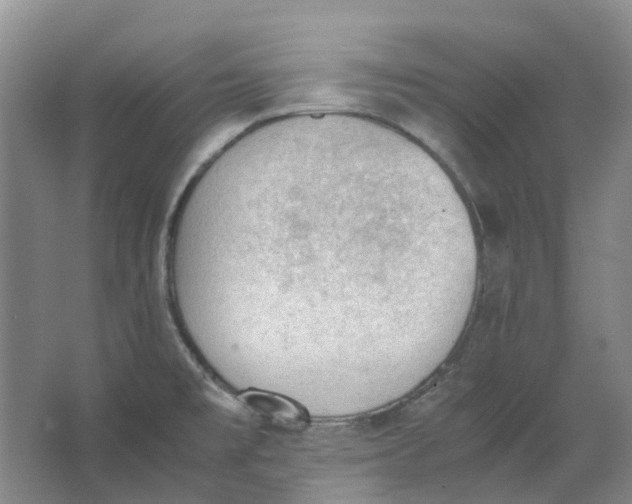 X0000062871477200601271543