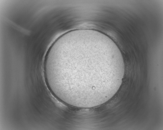 X0000062871478200601271543