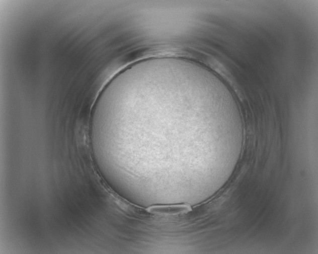 X0000062871481200601271543