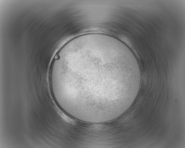 X0000062871482200601271543