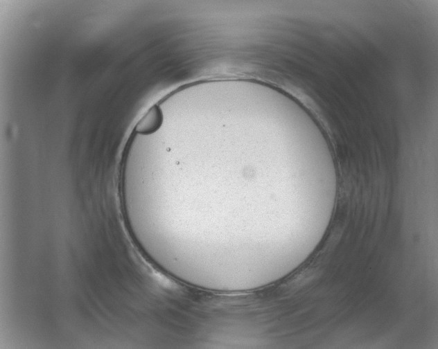 X0000062871486200601271543