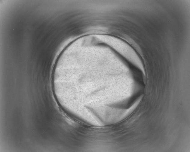 X0000062871488200601271543