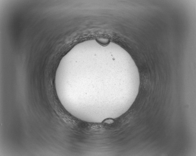 X0000062871489200601271542