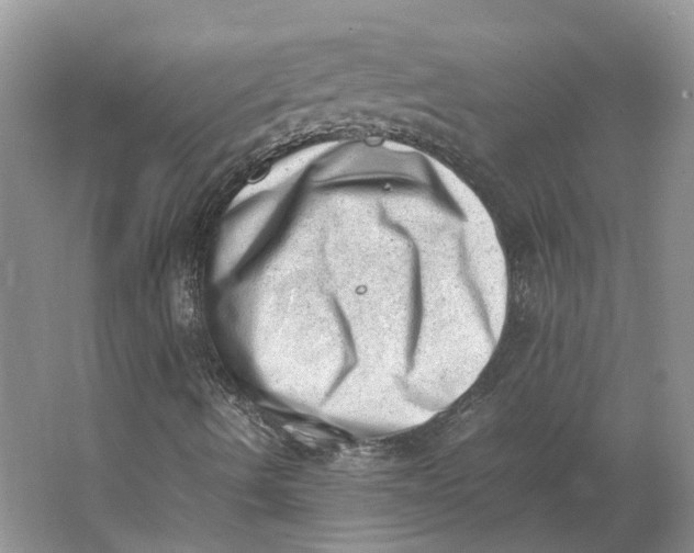 X0000062871490200601271542