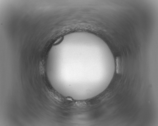 X0000062871491200601271542