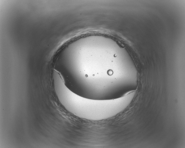 X0000062871496200601271542