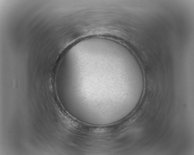 X0000062871497200601271542