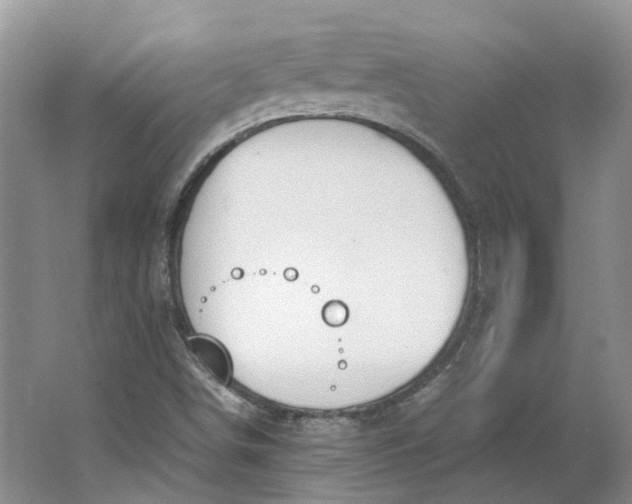 X0000062871498200601271542