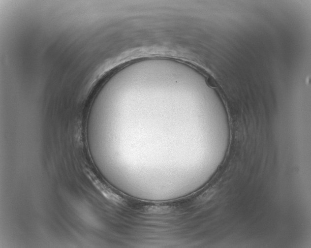 X0000062871499200601271542