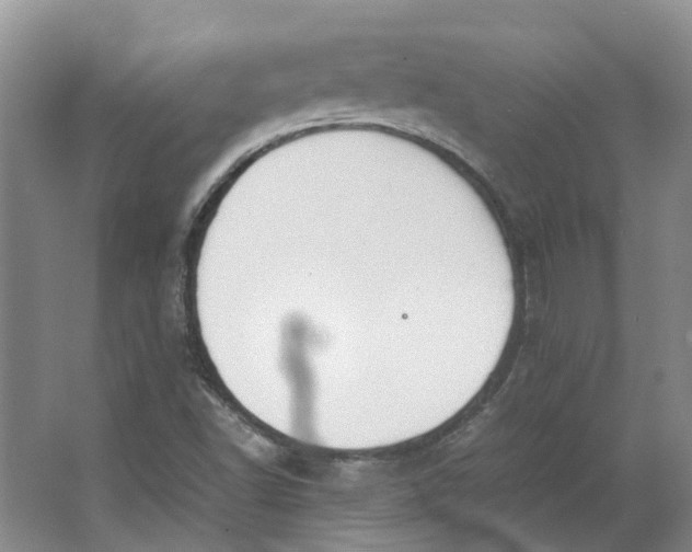 X0000062871502200601271542