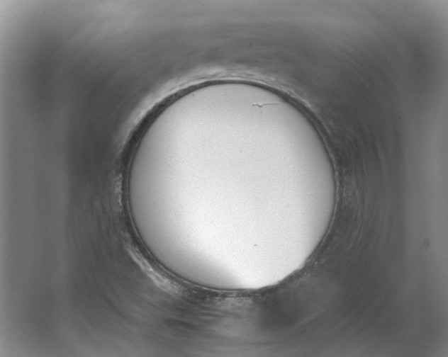 X0000062871503200601271542