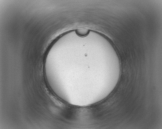 X0000062871507200601271542