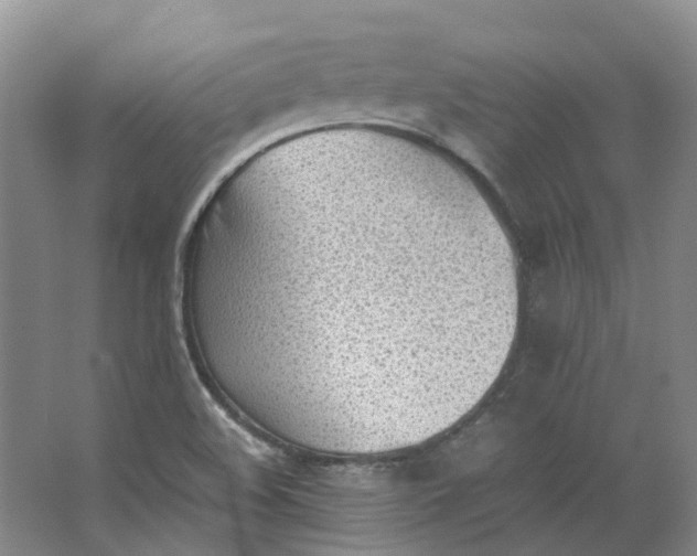 X0000062871508200601271542