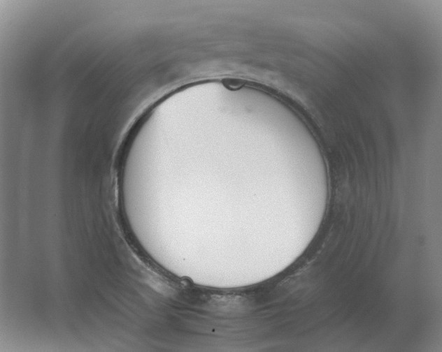 X0000062871509200601271542