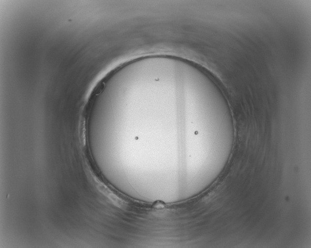 X0000062871510200601271542