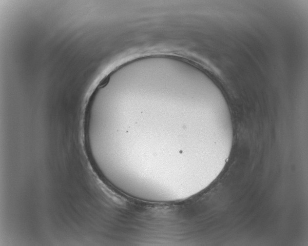 X0000062871512200601271542