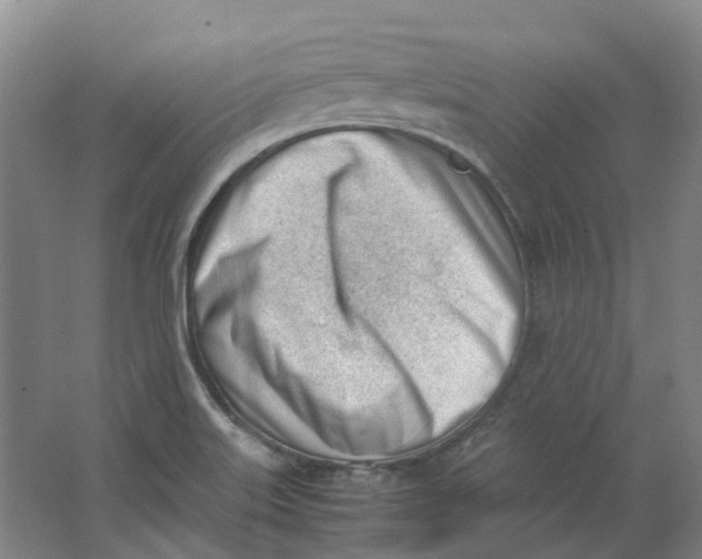 X0000062871515200601271542