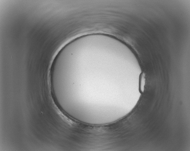 X0000062871516200601271542