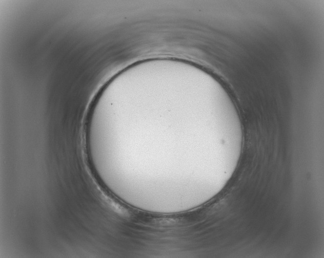 X0000062871517200601271542